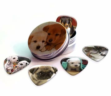 Blikje + plectrums met afbeelding van een puppy hond, Ophalen of Verzenden, Nieuw