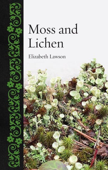 9781789149395 Botanical- Moss and Lichen, Boeken, Verzenden, Nieuw, Elizabeth Lawson