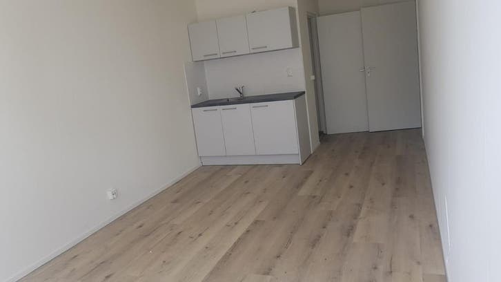 Appartement te huur in Tilburg - 28 m² - 1 kamer(s), Huizen en Kamers, Huizen te huur, Noord-Brabant, Appartement