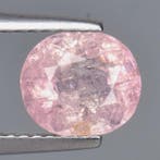 Zonder minimumprijs - 1 pcs Roze Toermalijn - 1.73 ct -, Nieuw