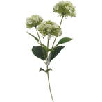 Hortensia Ivory Zijdenbloem 63 cm per stuk, Ophalen of Verzenden, Nieuw