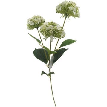 Hortensia Ivory Zijdenbloem 63 cm per stuk, Ophalen of Verzenden, Nieuw