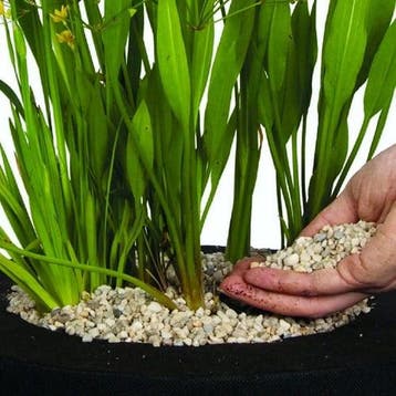 Afdeksteentjes velda vijvergrind pond gravel 4-6 mm pot 2, Ophalen of Verzenden, Nieuw