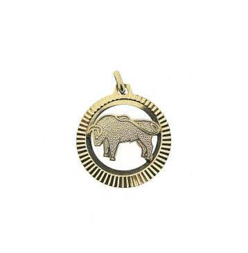 8 karaat sterrenbeeld hanger; Stier (Hanger of bedel), Ophalen of Verzenden, Gebruikt, Goud, Overige merken