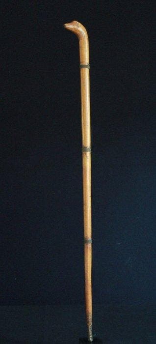 Wandelstok - Hout - Antieke wandelstok