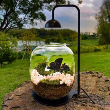 Plantengroeilamp met Timer – Verstelbare Terrarium Kweeklamp, Dieren en Toebehoren, Reptielen en Amfibieën | Toebehoren, Verzenden