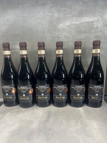 2017 Tana di Lupo - Amarone della Valpolicella - 6 Flessen, Nieuw