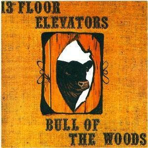 cd - 13th Floor Elevators - Bull Of The Woods, Verzenden, Zo goed als nieuw