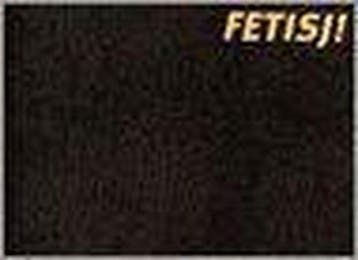 Fetisj 9789072731166 Anton Korteweg, Verzenden, Gelezen, Anton Korteweg