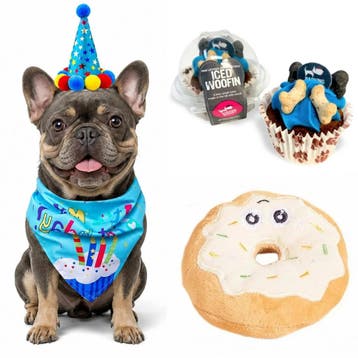3-delige honden snack-, cadeau- en decoratie set Dog Party, Ophalen of Verzenden, Nieuw, Hondenspeelgoed