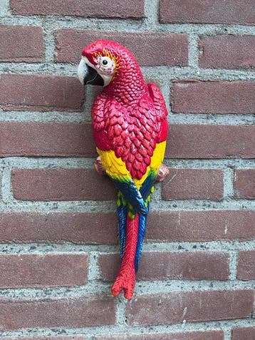 Decoratief ornament - Gietijzeren papegaai - Europa