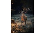 Glasschilderij Hert | 1067, Ophalen of Verzenden, Nieuw
