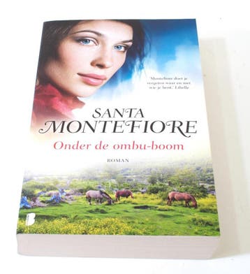 Onder de ombuboom - Santa Montefiore 9789022572917, Boeken, Romans, Verzenden, Gelezen, Santa Montefiore