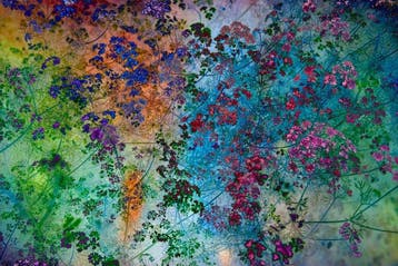 Viet Ha Tran - Shades of Dreams I