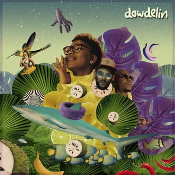 cd - dowdelin - CARNAVAL ODYSSEY (nieuw), Verzenden, Zo goed als nieuw