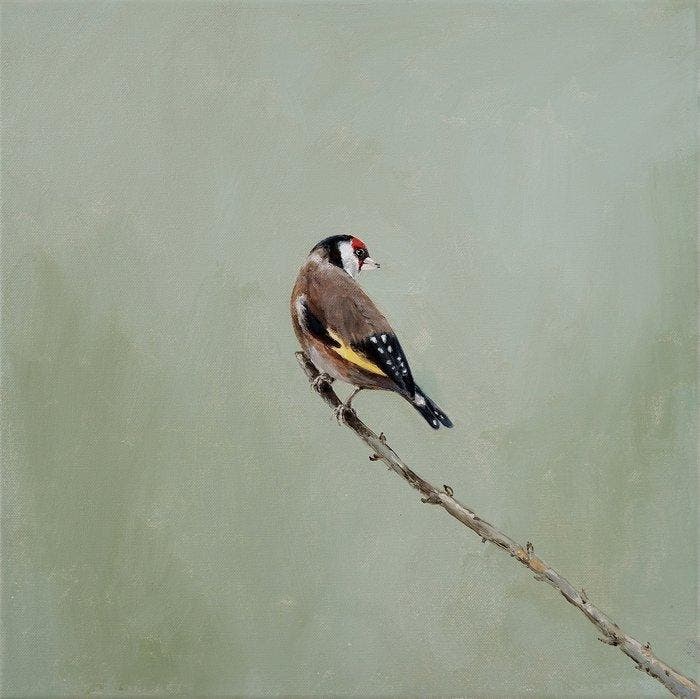 Matthieu van Riel - Goldfinch on a Branch, Antiek en Kunst, Kunst | Schilderijen | Modern