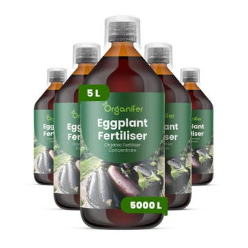 Aubergine Vloeibare Meststof - 5x1 liter, Verzenden, Mest