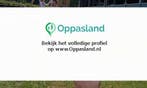 Silvana zoekt een oppas in Steenderen voor 3 kinderen., Vacatures