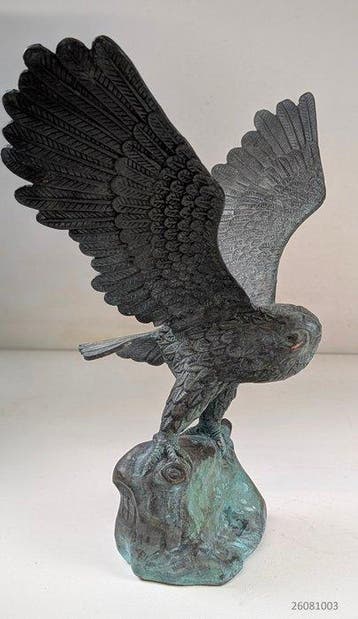 Beeld, gedetailleerd bronzen sculptuur van een adelaar met