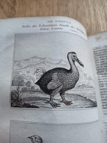 Buffon / G. Cuvier - Oeuvres complètes de Buffon. (...) et