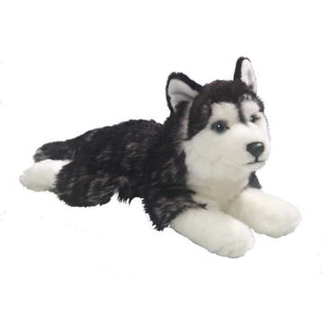 Carl Dick husky knuffel - pluche - liggend - 32 cm, Verzenden, Nieuw