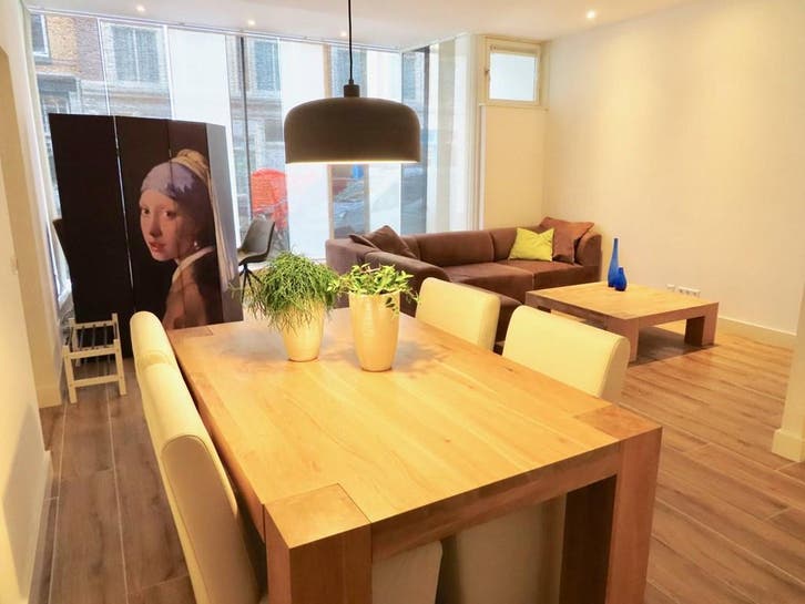 Appartement te huur aan Witte de Withstraat in Den Haag, Huizen en Kamers, Huizen te huur, Zuid-Holland