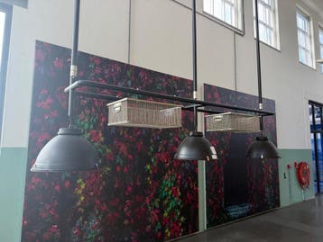 Online veiling: Hanglampen met ophangframe en draadmanden (2, Nieuw