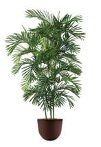 Areca Palm kunstplant, H140cm, Huis en Inrichting, Kamerplanten, Ophalen of Verzenden, Palm, 150 tot 200 cm