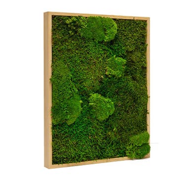 Vintlux Mosschilderij Lappenmos-Bolmos 30x40 cm Blank Hout, Nieuw
