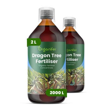 Drakenboom Vloeibare Meststof - 2x1 liter, Verzenden, Mest