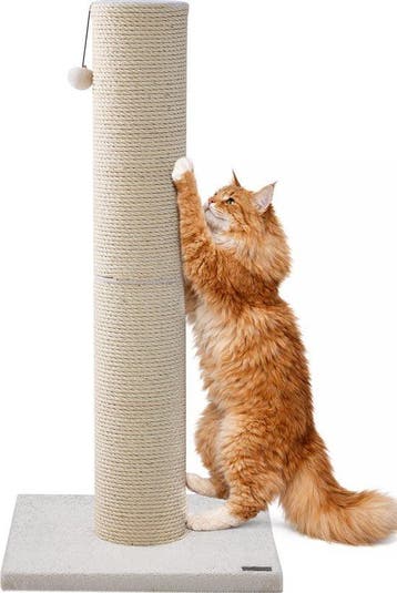 2dekans | Jake and Jacky Krabpaal voor Grote Katten -, Dieren en Toebehoren, Ophalen of Verzenden, Zo goed als nieuw