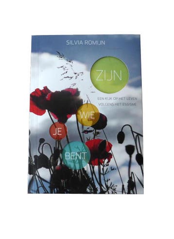 Zijn wie je bent - Boek & DVD - S. Romijn 9789081599511, Verzenden, Zo goed als nieuw, S. Romijn