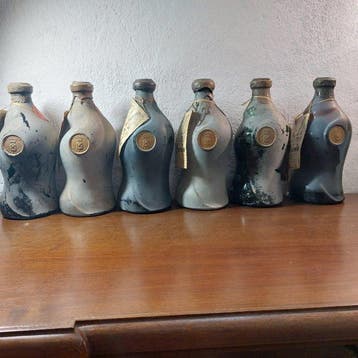 1964 Giovanni Pippione, Barolo - Barolo DOCG - 6 Flessen, Verzamelen, Nieuw