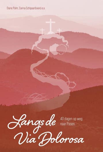 Langs de Via Dolorosa - Diane Palm 9789088972683, Verzenden, Zo goed als nieuw, Diane Palm