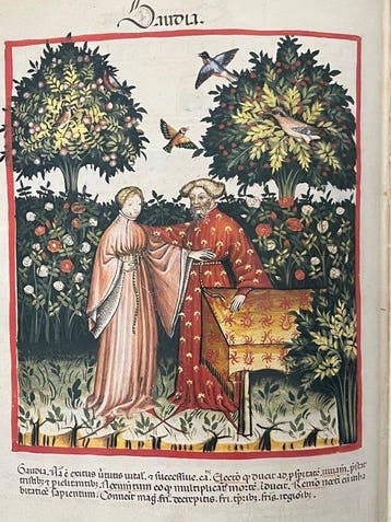 Ibn Butlan - Tacuinum Sanitatis - 1987