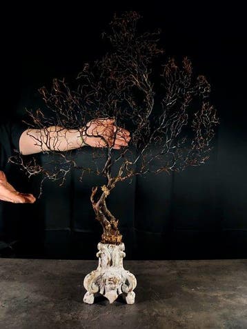 Zwarte gorgonia op sokkel, fijn 800 Taxidermie volledige, Verzamelen, Nieuw