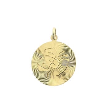 Gouden sterrenbeeld hanger; Kreeft (Hanger of bedel), Ophalen of Verzenden, Gebruikt, Goud, Overige merken