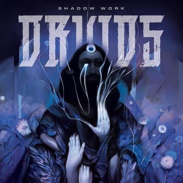 lp nieuw - druids - SHADOW WORK (nieuw), Verzenden, Zo goed als nieuw, Overige formaten