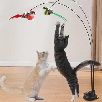 Interactieve Katten Speelstok met Dubbele Vogel en Sterke Zu, Verzenden, Nieuw