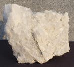 Big Lemurian Crystal Matrix full of Hundreds of Clear