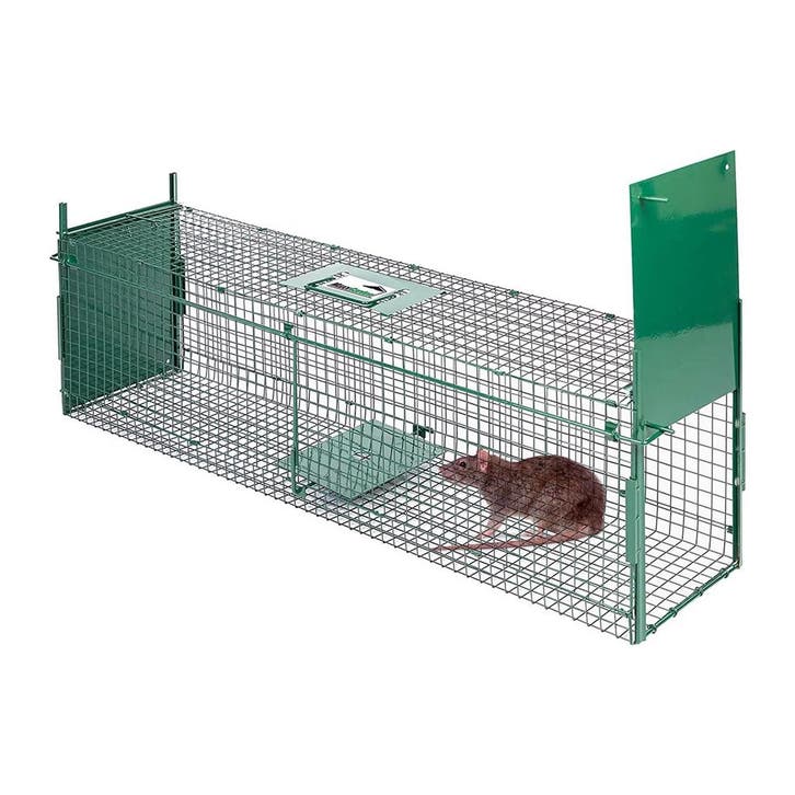 MaxxGarden Vangkooi - Rattenval opvouwbaar 60x18x20cm (Dier), Dieren en Toebehoren, Overige Dieren-accessoires, Nieuw, Verzenden