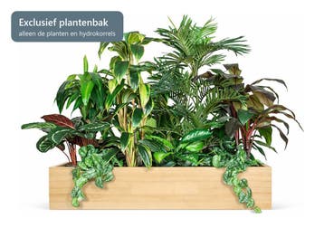 Kunstplantenpakket Oerwoud, voor plantenbak 120 cm, Ophalen of Verzenden, Palm, 100 tot 150 cm