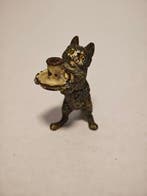 Franz Bergman Style - sculptuur, Viennese Bronze - Cat
