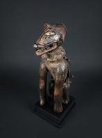 Chien Vili Nkisi - DR Congo