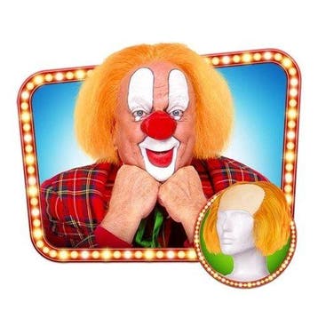 Clown Bassie pruik, Verzenden, Nieuw, Feestartikel