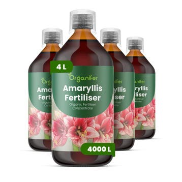 Amaryllis vloeibare meststof - Set van 4 x 1 liter, Verzenden, Mest