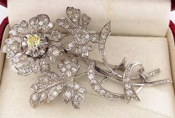 Broche Platina Diamant (Natuurlijk) - Diamant