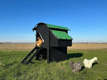 Kunststof Kippenhok - Nestera Medium Verhoogd - Afhalen met, Dieren en Toebehoren, Pluimvee | Toebehoren, Ophalen of Verzenden