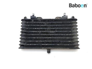 Oliekoeler BMW R 1200 R 2006-2010 (R1200R 06), Verzenden, Gebruikt
