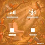 Tweet Box - Vogelgeluiden Huisje met Bewegingsmelder &amp;, Ophalen of Verzenden, Nieuw